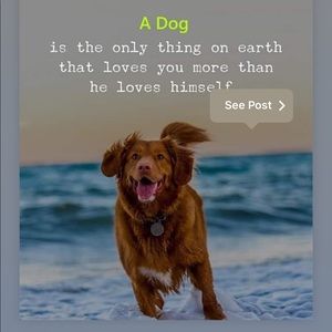 Meet your Posher, Trish